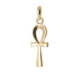 Přívěšek Egyptský kříž života ze žlutého zlata ZZ0793F + dárek zdarma