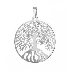 Stříbrný přívěšek strom života PA2038STRF