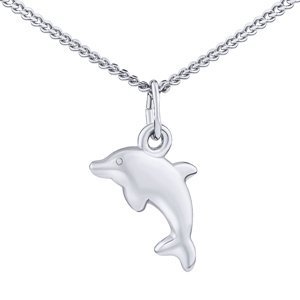 Stříbrný náhrdelník delfín Aky 40 + 5 cm