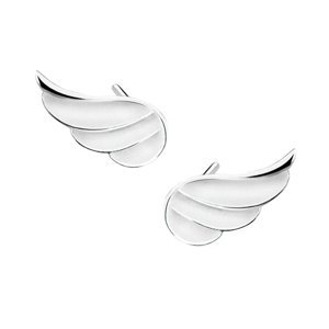 Klenoty Amber Stříbrné náušnice křídla zdobená