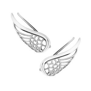 Klenoty Amber Stříbrné náušnice křídla