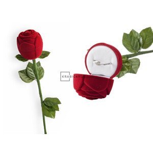 Dárková krabička růže