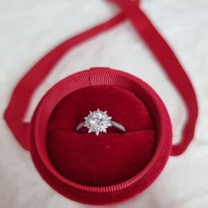 Aranys Stříbrný prsten s motivem kytky se zirkony, 54 16818