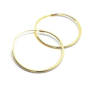 Aranys Zlacené stříbrné náušnice kruhové, 10 mm 54560