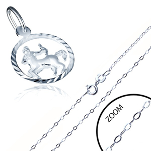 Stříbrný náhrdelník 925 - jemný řetízek a přívěsek znamení STŘELEC