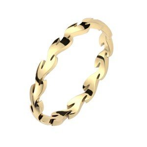 Prsten z oceli 316L ve zlaté barvě - větvička s vavřínovými listy - Velikost: 49