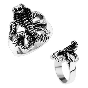 Mohutný ocelový prsten, lesklá ramena, patinovaný had - kobra - Velikost: 59