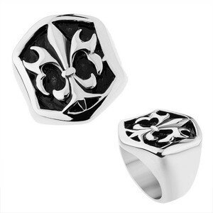 Ocelový prsten stříbrné barvy, šestihranná ozdoba s patinou a Fleur de Lis - Velikost: 62