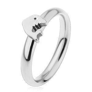 Prsten z chirurgické oceli, stříbrný odstín, malý lesklý delfín - Velikost: 44