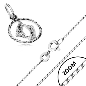 Stříbrný náhrdelník 925 - lesklý řetízek, přívěsek znamení RYBY