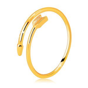 Prsten ze žlutého 14K zlata - zatočený šíp, rozpojená ramena prstenu - Velikost: 49