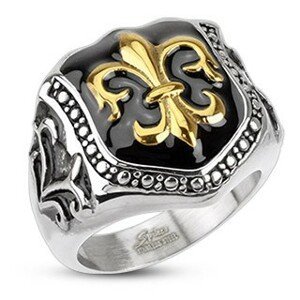 Prsten z chirurgické oceli - královský znak, štít - Velikost: 61