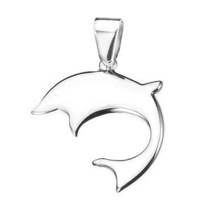 Ocelový delfín - lesklý přívěsek