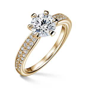 Florence Side Stones | Zásnubní prsten se středovým kamenem 1.000ct, žluté zlato, s diamanty 46