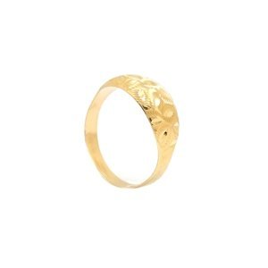 Zlatý prsten CIBIL