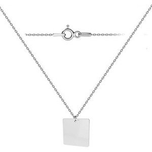 NUBIS® Stříbrný náhrdelník s malou destičkou - NB-2259